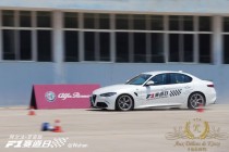 Aux-Delices-De-Kinsy-Alfa Romeo-18